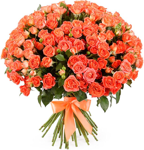 Кустовые оранжевые розы Кустовые оранжевые розы